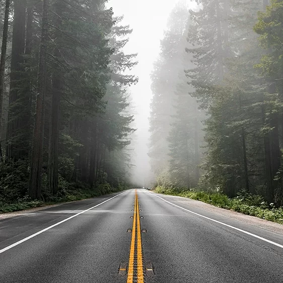 WIDE_Move_Moving_Comox_valley_frieght_delivery_movers_near_me_junk_campbell_river_port_alberni_nanaimo_vancouver_island_Local_Masters_9